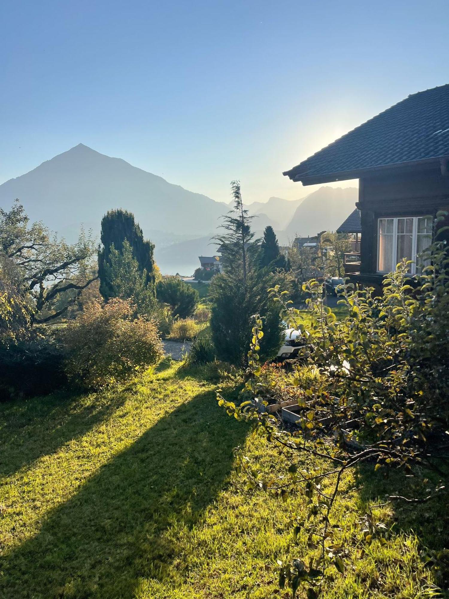 Chalet Edelweiss